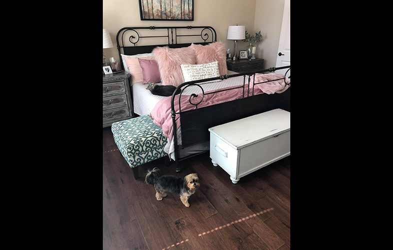 Newly installed flooring in bedroom