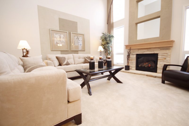 a carpeted living room with clean, elegant furniture