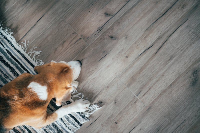 a dog walking on a rug that is laying on vinyl flooring 