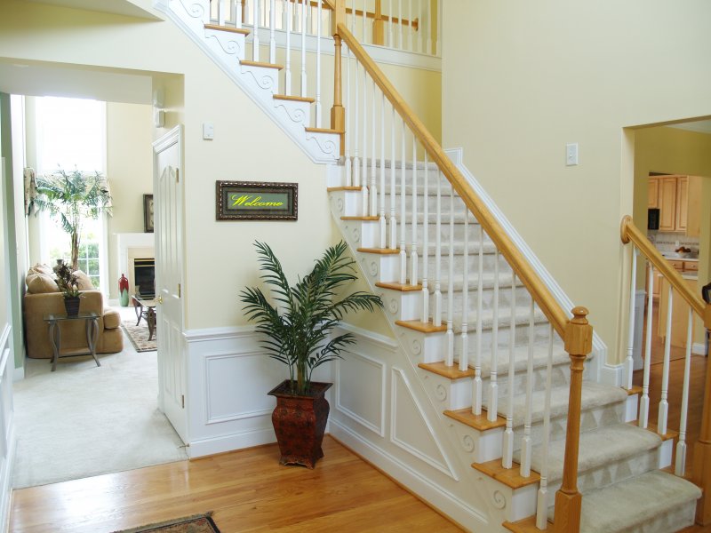 carpeted stains inside a home 